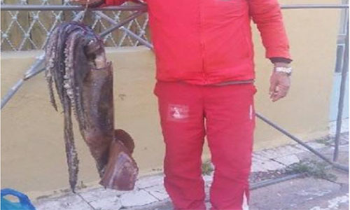 Ένα τεράστιο καλαμάρι βάρους 9 κιλών έπιασε ψαράς στην Καλαμάτα