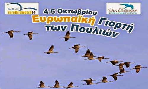 Η Νέα Κίος συμμετέχει στην Ευρωπαϊκή γιορτή των πουλιών