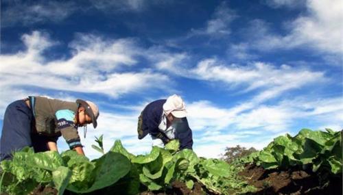 Οικονομική ανάσα για τους αγρότες της Αργολίδας