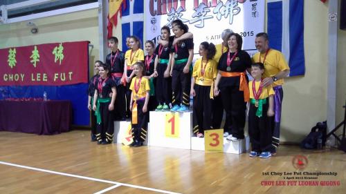 Εσωτερικό πρωτάθλημα των σχολών Choy lee Fut στην Ερμιόνη