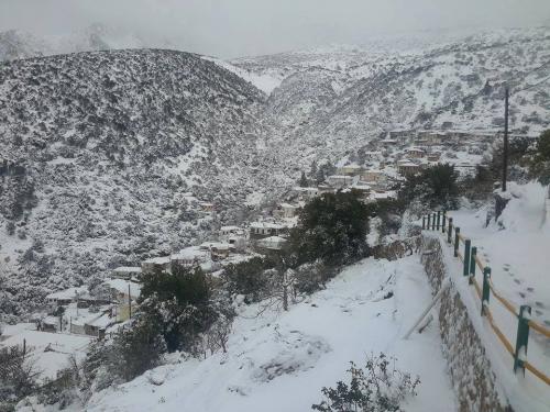 Φωτορεπορτάζ: Το χιόνι σκέπασε τον Αχλαδόκαμπο