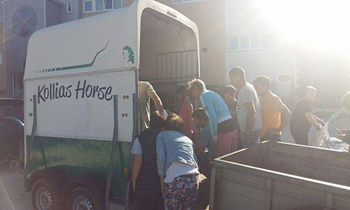 Γιατρός από το Ναύπλιο παλεύει να σώσει άλογο που βρέθηκε να αργοπεθαίνει στην Πάτρα