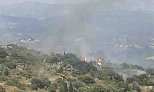 Πυρκαγιά πέρασε μέσα από αυλές σπιτιών σε Ασίνη και Λευκάκια