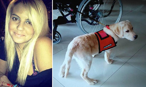 Στην Ασπασία ο πρώτος σκύλος-βοηθός για άτομα με αναπηρία στην Ελλάδα!