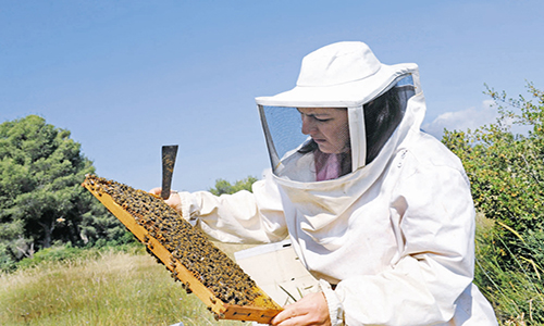 Ενίσχυση για τους μελισσοκόμους της Αργολίδας