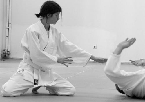Διεθνές φεστιβάλ Aikido Άνοιξη 2014 στο Ναύπλιο