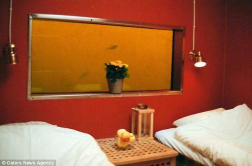 'Ενα ξενοδοχείο διαφορετικό από τ' άλλα-Ύπνος παρέα με τα ψάρια!