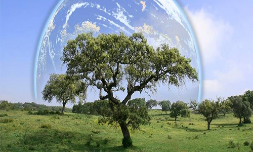 Παγκόσμια Ημέρα Περιβάλλοντος και Περιφέρεια Πελοποννήσου