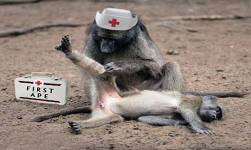 Το 'χε σκάσει για την Αμερική ο Γιατρός - Μαϊμού της Αργολίδας