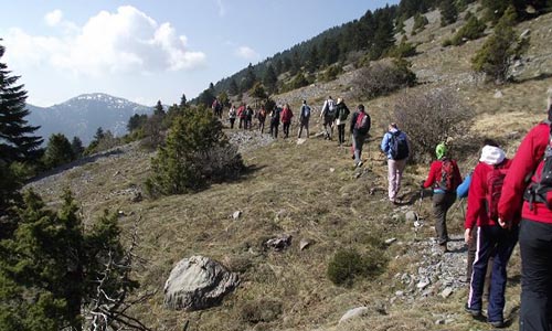 Menalon Trail: Το πρώτο ευρωπαϊκά πιστοποιημένο μονοπάτι στην Ελλάδα
