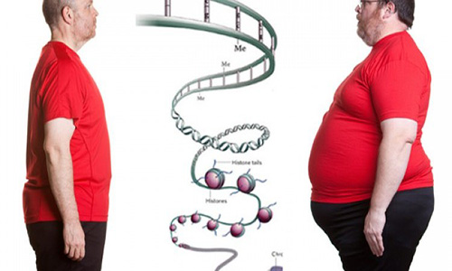 Το γονίδιο φταίει για τα περιττά κιλά;