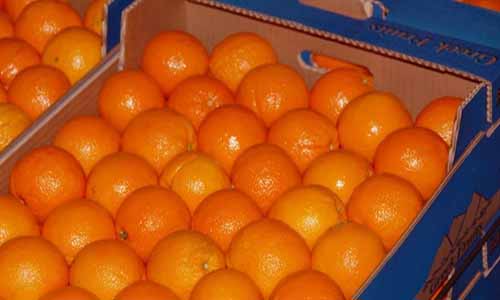 Τι θα γίνει τελικά με τα περισσευούμενα πορτοκάλια;