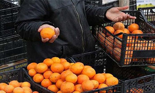 5 εκατομμύρια ευρώ κινδυνεύουν να χαθούν για τους πορτοκαλοπαραγωγούς