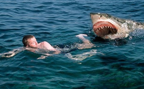 Ο fake καρχαρίας του Αργολικού, που κατατρόμαξε το Πανελλήνιο
