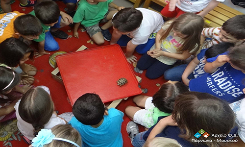 Μαθητές από το Πορτοχέλι, το Λεωνίδιο και το Άστρος έμαθαν για τη χελώνα