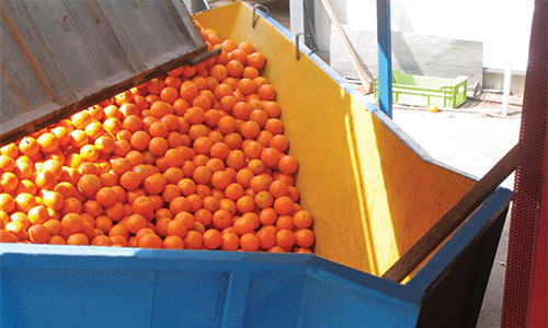 Με αναδρομική ισχύ η συνδεδεμένη ενίσχυση για τα πορτοκάλια χυμοποίησης