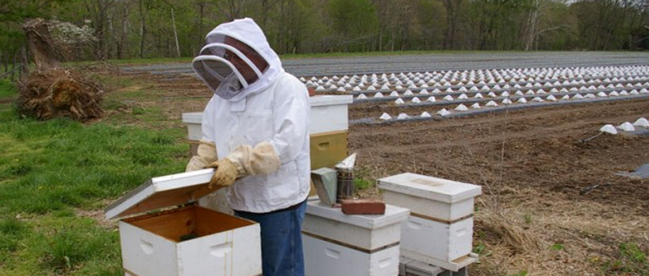 Έκκληση προς τους μελισσοκόμους της Αργολίδας