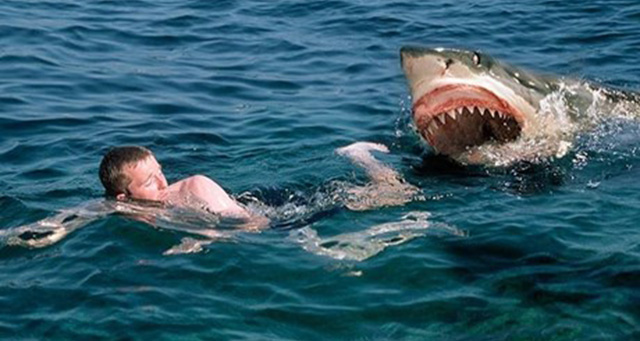 Ο fake καρχαρίας του Αργολικού, που κατατρόμαξε το Πανελλήνιο