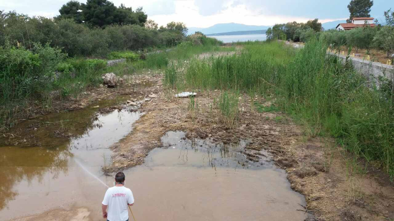 Καταπολέμηση των κουνουπιών στον Δήμο Ναυπλιέων