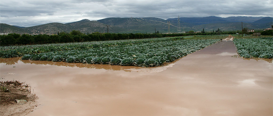 Μεγάλες καταστροφές σε καλλιέργειες στο Άργος