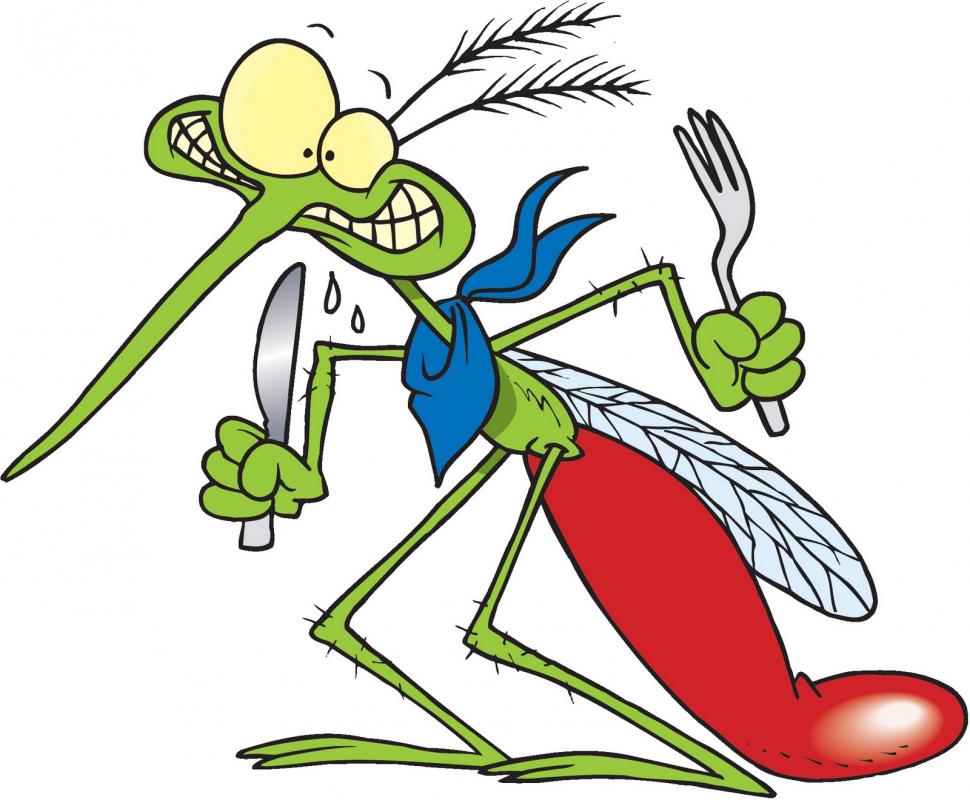Δεν μας αφήνουν σε ησυχία τα κουνούπια στην Αργολίδα