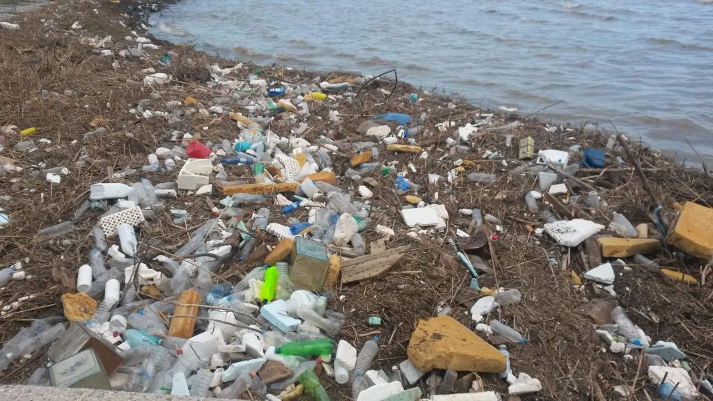 Ξέβρασε σκουπίδια η θάλασσα της Νέας Κίου