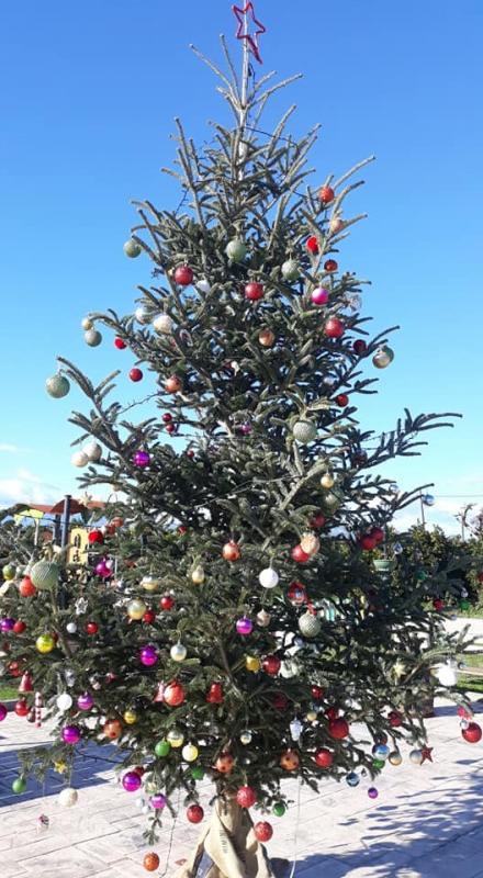 Χριστουγεννιάτικο Δέντρο Κουρτάκι