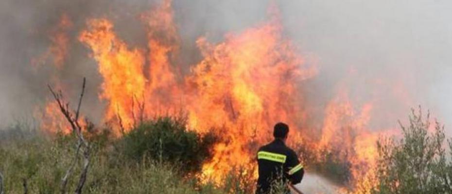 Συναγερμός για μεγάλη πυρκαγιά κοντά στη Μονή Καρακαλά στο Ναύπλιο
