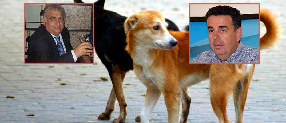Επίθεση Γκαβούνου σε Κωστούρο για τα σκυλιά του Ναυπλίου, που έχασε ο Λέντζος στο Άργος