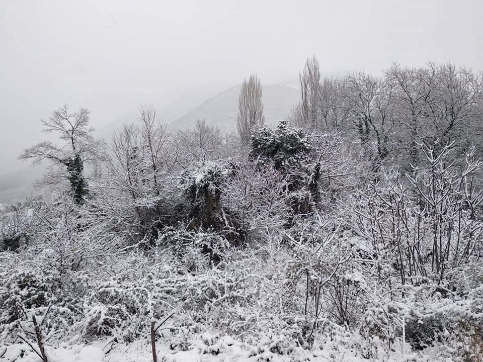 Χιόνια Κεφαλόβρυσο Άργους