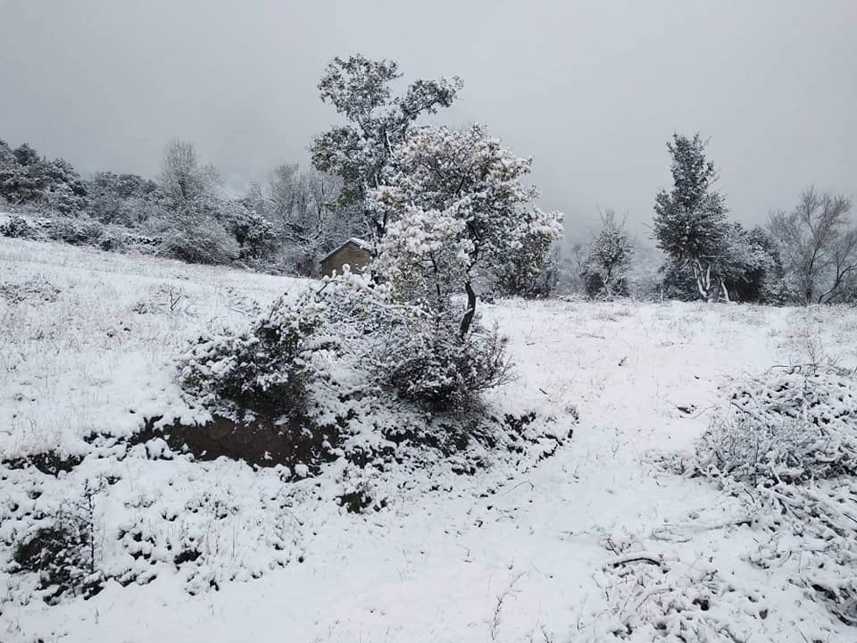 Χιόνια Κεφαλόβρυσο Άργους