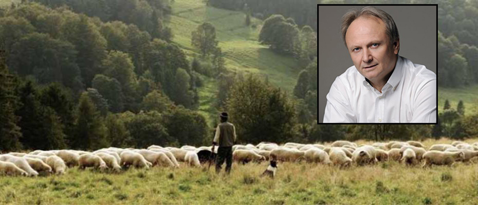 Ανδριανός: Να δοθεί στους κτηνοτρόφους το υπόλοιπο της εξισωτικής αποζημίωσης του 2014