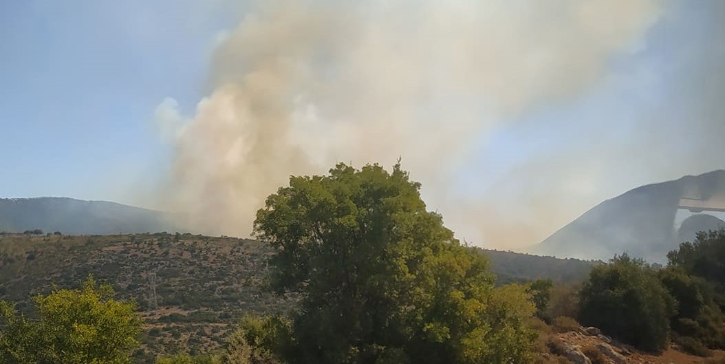Φωτιά στο Κολιάκι, κοντά στην Επίδαυρο 31.07.2020