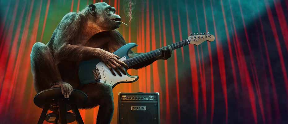 Μαϊμού παίζει κιθάρα
